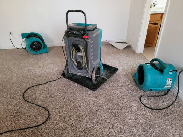 Best Flooded house restoration  in Germantown, MD