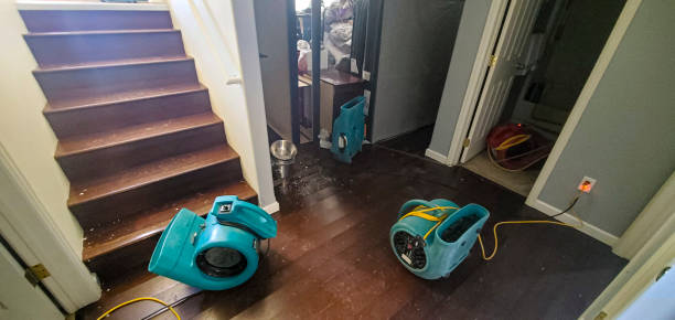 Best Carpet water damage restoration  in Germantown, MD