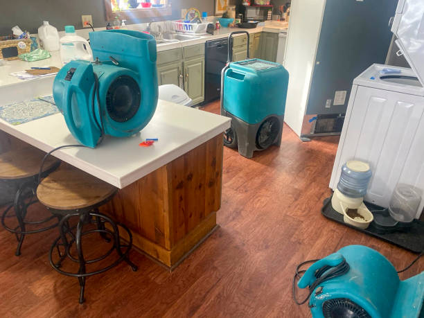 Best Basement water damage restoration  in Germantown, MD
