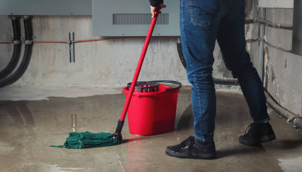 Best Flood damage cleanup  in Germantown, MD