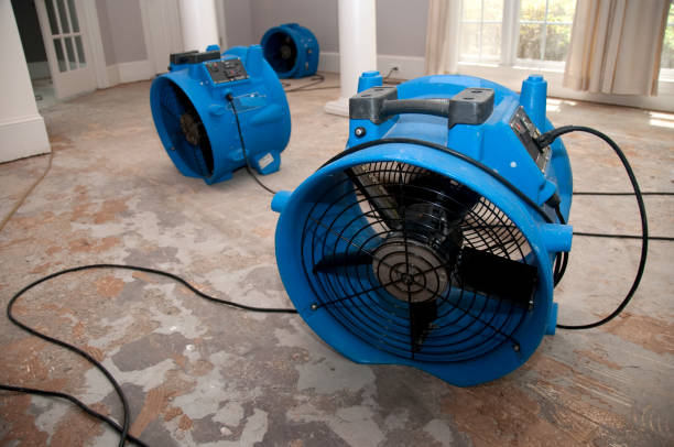 Best Mold removal after water damage  in Germantown, MD