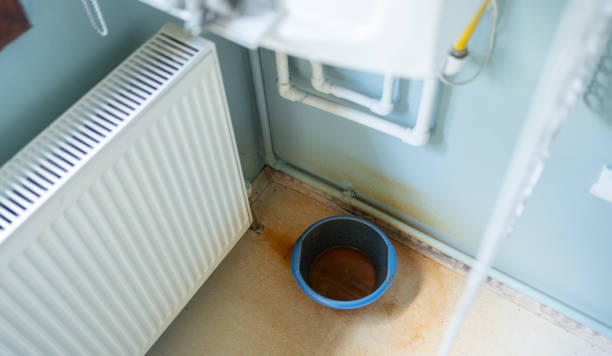 Best Water damage cleanup near me  in Germantown, MD